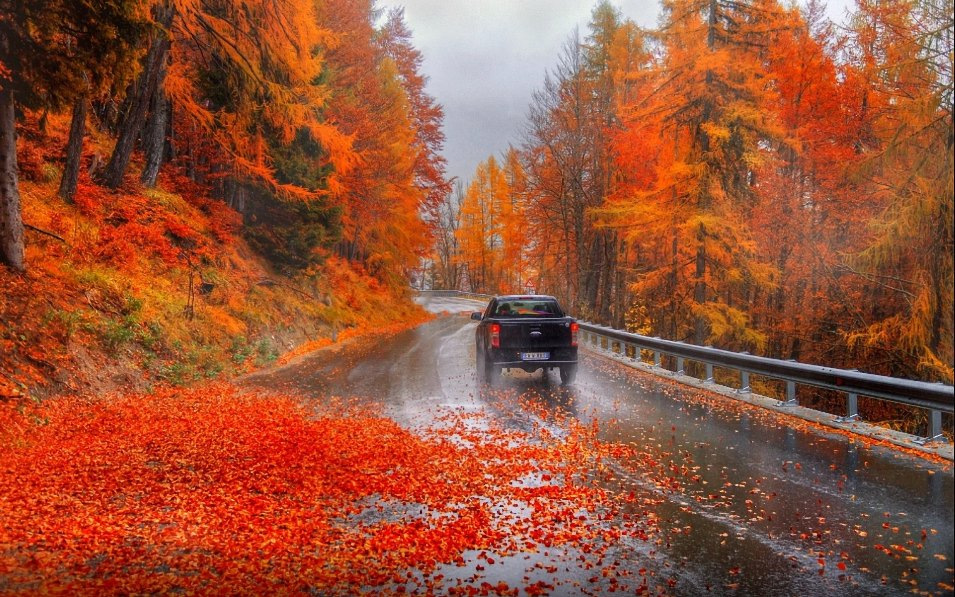 Qué peligros trae el otoño para los conductores