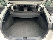 Toyota Prius 2015-2022 Alfombrilla de maletero EVA (LB, Negro) foto 1