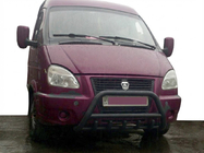 GAZelle 1998- Defensa Delantera WT003 Negra (Acero Inoxidable) foto 1