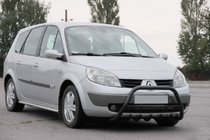 Renault Scenic/Grand 2003-2009 Defensa Delantera WT004 Negra (Acero Inoxidable) foto 2