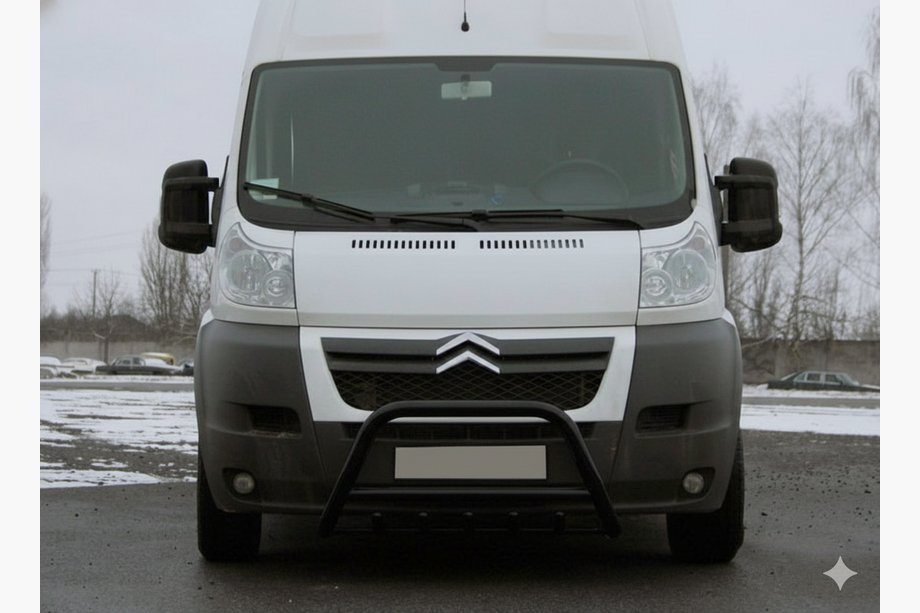 Peugeot Boxer 2006-2025 Defensa Delantera WT003 Negra (Acero Inoxidable) Foto 4