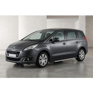 Estribos Laterales Duru (2 uds., Aluminio) Peugeot 5008 2009-2016 foto 1