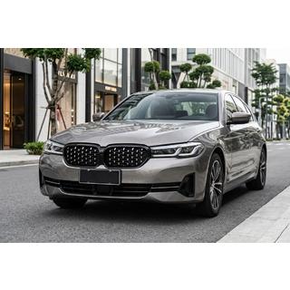 Branquias Diamond Silver (2021-2023) BMW Serie 5 G30/G31 2017–2023 foto 1