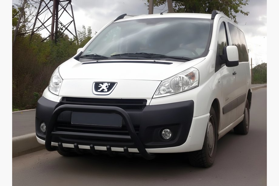 Citroen Jumpy 2007–2017 Defensa Delantera WT003 Negra Acero Inoxidable Image
