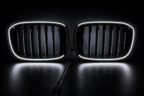 BMW X4 G02 2018- Riñones de parrilla 1 Bar LED (2018-2021, negro brillo) foto 5