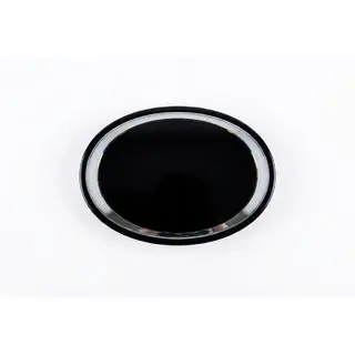 Emblema delantero bajo cristal V1 (19,3 cm × 13,5 cm) foto 1