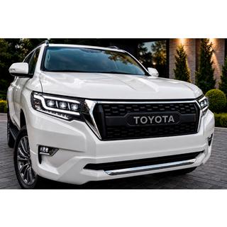 Parrilla del radiador 2017↗ (OffRoad) Toyota Land Cruiser Prado 150 2009-2023 foto 1