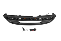 Nissan Patrol Y61 1997-2011 Parrilla del radiador 2002-2004 (OffRoad) foto 4