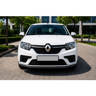 Defensa Delantera ST008 Negra (Acero Inoxidable) Renault Sandero 2013-2022 foto 2