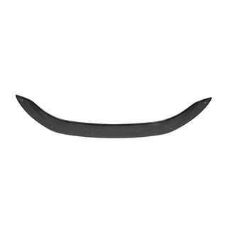 Deflector de capó EuroCap foto 4