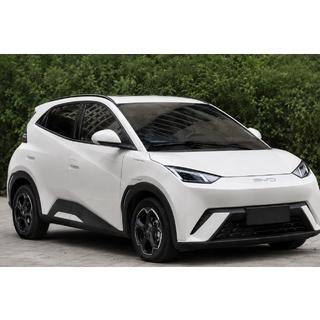 Rieles de techo OEM negros (plástico ABS, instalación con adhesivo)