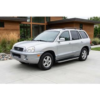 Estribos Laterales BlackLine (2 uds, Aluminio) Hyundai Santa Fe 1 2000-2006 foto 1