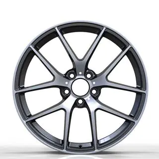 Llantas forjadas DH-Style V20 R24