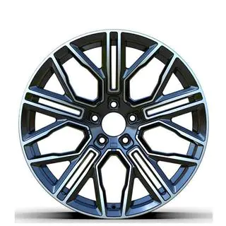 Llantas forjadas DH-Style V21 R24