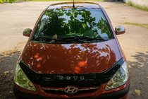 Hyundai Getz 2002- Cubiertas superiores de espejo (2 uds., plastico) foto 3
