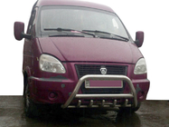 GAZelle 1998- Defensa Delantera WT003 (Acero Inoxidable) foto 3