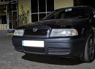Skoda Octavia I Tour A4 1996-2010 Rejilla de invierno (superior) foto 4