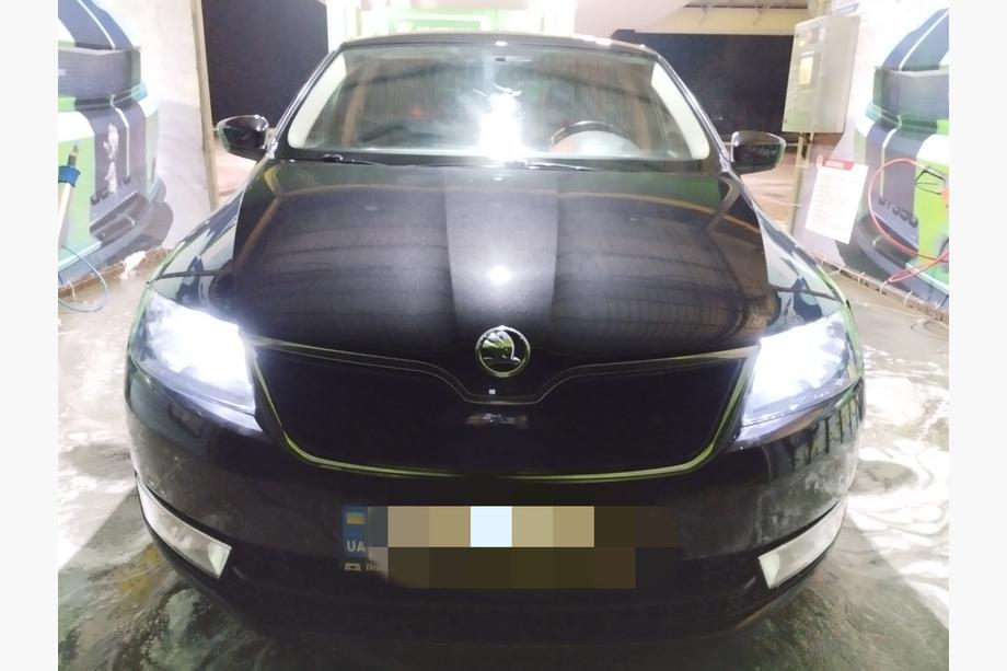 Skoda Rapid 2012-2019 Rejilla de invierno (superior) Mate Foto 1