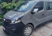 Opel Vivaro 2015-2019 Cubiertas de Espejos (2 uds., plastico) foto 9
