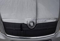 Skoda Octavia II A5 2010-2013 Cubierta de rejilla de invierno (superior) foto 2