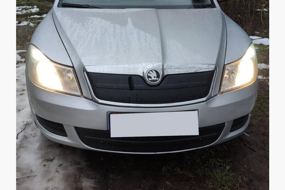 Skoda Octavia II A5 2010-2013 Cubierta de rejilla de invierno (superior) Image