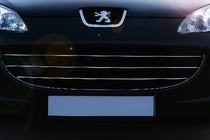 Peugeot 407 2004-2011 Cubiertas de Parrilla Cromadas (3 uds, Acero Inoxidable) foto 1
