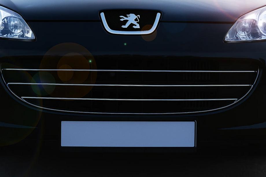 Peugeot 407 2004-2011 Cubiertas de Parrilla Cromadas (3 uds, Acero Inoxidable) Image