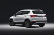 El primer examen de cruce Seat Ateca foto 5