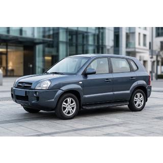 Estribos Laterales Tayga Black (2 uds., Aluminio) Hyundai Tucson JM 2004- foto 1