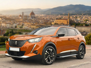 Peugeot 3008 2016-2023 Estribos Laterales Allmond Grey (2 uds, Aluminio) foto 1