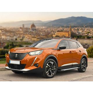 Estribos Laterales Allmond Grey (2 uds, Aluminio) Peugeot 3008 2016-2023 foto 1