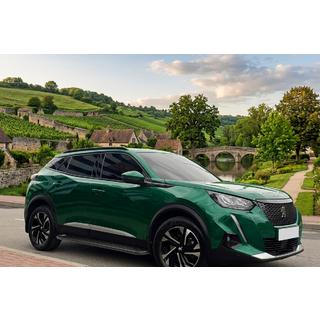 Estribos Laterales Allmond Black (2 uds, Aluminio) Peugeot 3008 2016-2023 foto 1