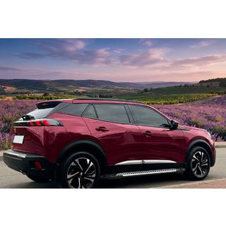 Estribos Line (2 uds, aluminio) Peugeot 3008 2016-2023 foto 1