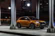 Revisión de primas de cruce DS 7 Crossback foto 3