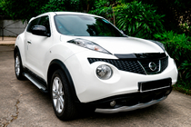 Nissan Juke 2010-2019 Estribos Laterales Allmond Grey (2 uds., Aluminio) foto 1