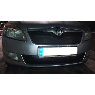 Cubierta de rejilla de invierno (2011-2014, superior) Skoda Fabia 2007-2014 foto 2