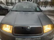 Skoda Fabia 2000-2007 Cubierta de invierno para parrilla foto 1