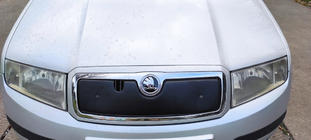 Skoda Fabia 2000-2007 Cubierta de invierno para parrilla Mate foto 4