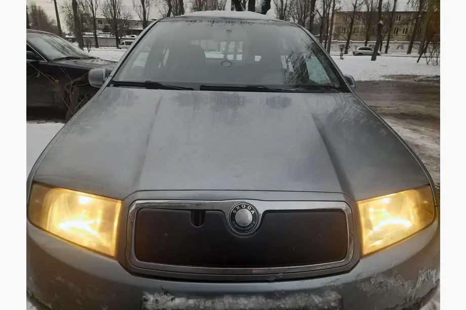 Skoda Fabia 2000-2007 Cubierta de invierno para parrilla Image