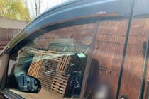 Mercedes Vito/V-class W447 2014- Deflectores de Ventana (2 uds, HIC) foto 11