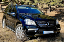 Mercedes GL class X164 2006-2012 Parrilla delantera Diamond (2006-2009) foto 4