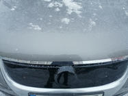 Volkswagen Touran 2003-2010 Rejilla de invierno (superior, 2006-2010) Mate foto 2