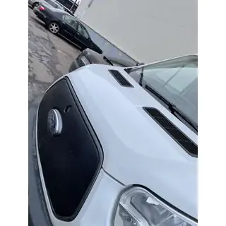 Cubierta de rejilla de invierno (2014-2018) foto 3