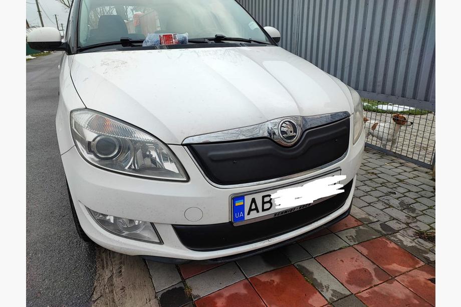 Skoda Roomster 2006-2015 Cubierta de parrilla de invierno (2011-2014, inferior) Foto 6