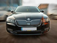 Skoda Superb 2015-2024 Cubierta de invierno para parrilla (2015-2019, superior) Mate foto 1