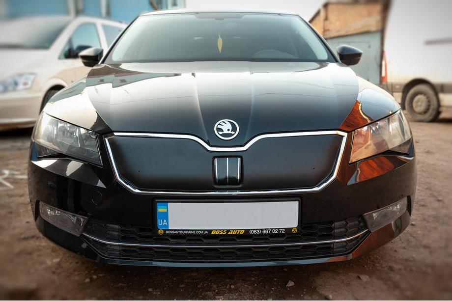 Skoda Superb 2015-2024 Cubierta de invierno para parrilla (2015-2019, superior) Foto 2