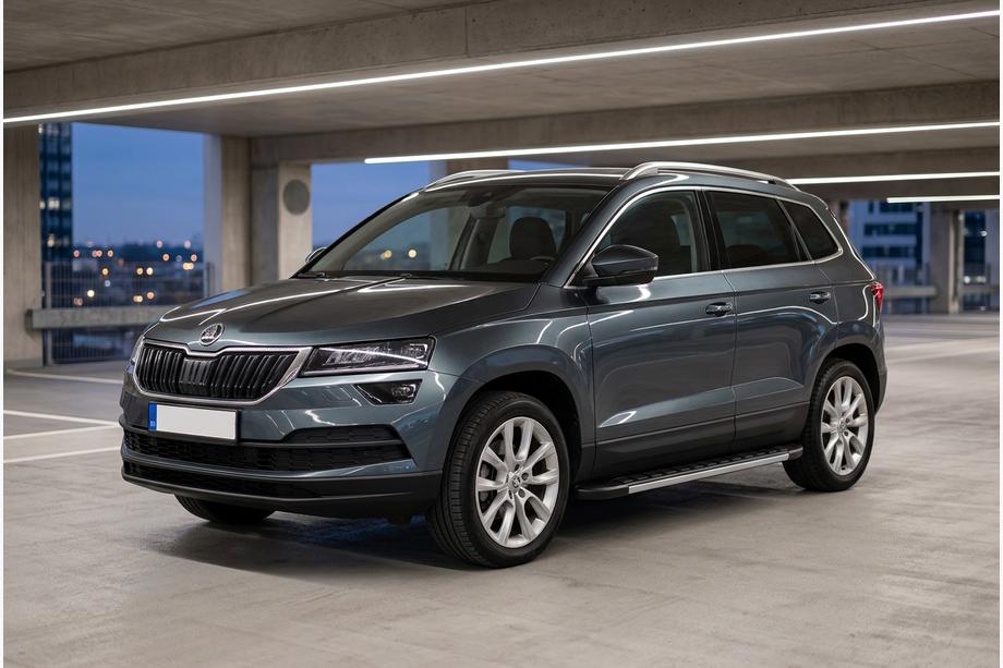 Skoda Karoq 2018- Estribos Laterales Duru (2 uds., Aluminio) Image