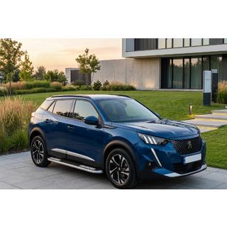 Estribos Laterales Tayga V2 (2 uds., Aluminio) Peugeot 3008 2016-2023 foto 1