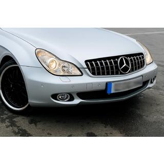 Parrilla Delantera (2008-2010, GT Panamericana) Mercedes CLS C219 2004-2010 foto 1