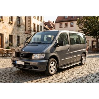 Estribos laterales Bosphorus Grey (2 uds., aluminio) Mercedes Vito W638 1996-2003 foto 1